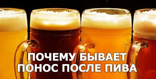 Причини виникнення проносу після пива